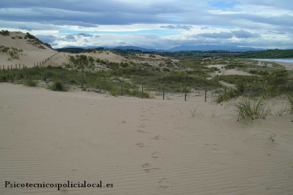 Test psicotécnicos online para la Policía Municipal de Piélagos